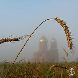 Несколько слов об астрологии и гороскопах