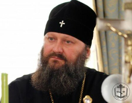 Web-конференция архиепископа Вышгородского Павла (Лебедя)